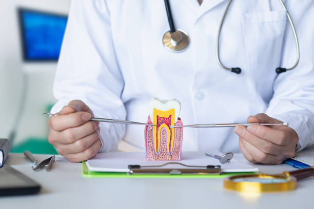 Best Emergency Dental Services Near Me  in Spring Arbor, MI
